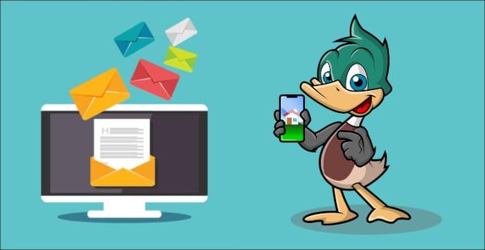 Contact Bnb Duck